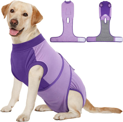 Female Dog Recovery Suit — Post-Spay & Surgery Coverage, Soft & Breathable (XS–2XL)