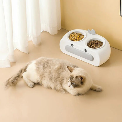 Pet Double Bowl