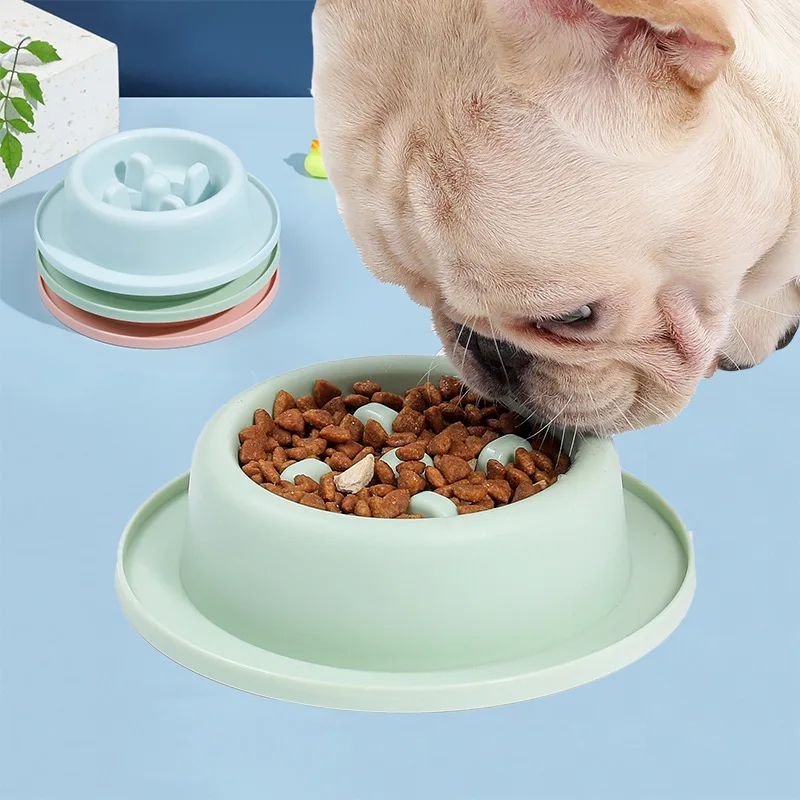 Pet Slow Eating Bowls