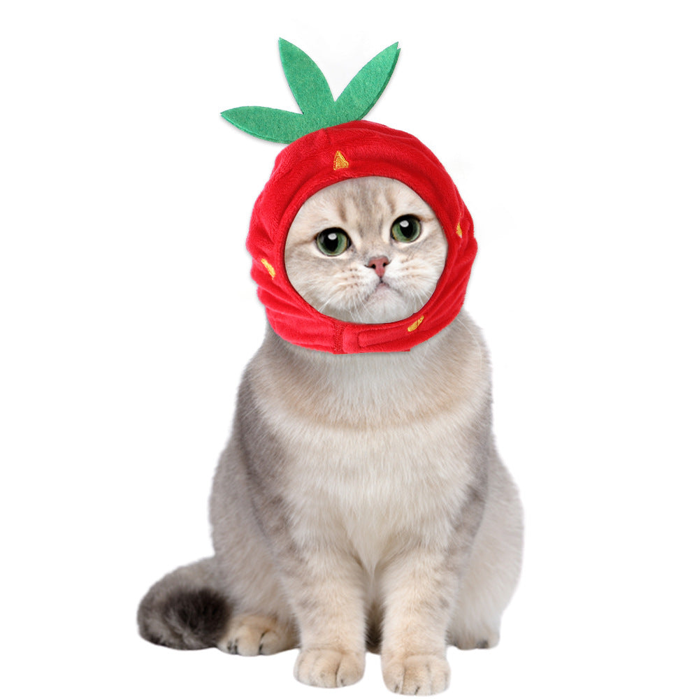 Funny Pet Costume