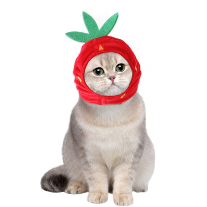 Funny Pet Costume