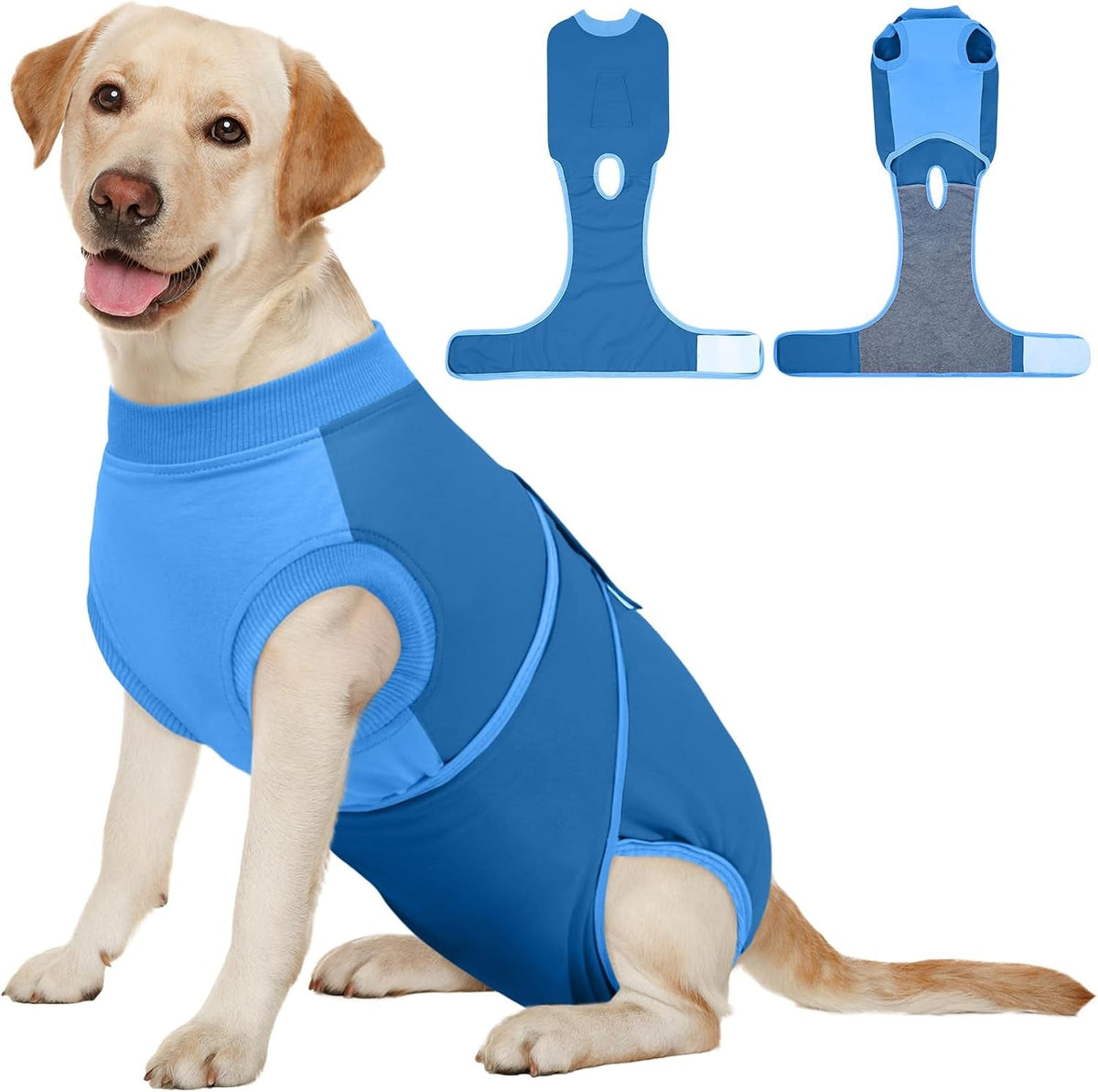 Female Dog Recovery Suit — Post-Spay & Surgery Coverage, Soft & Breathable (XS–2XL)