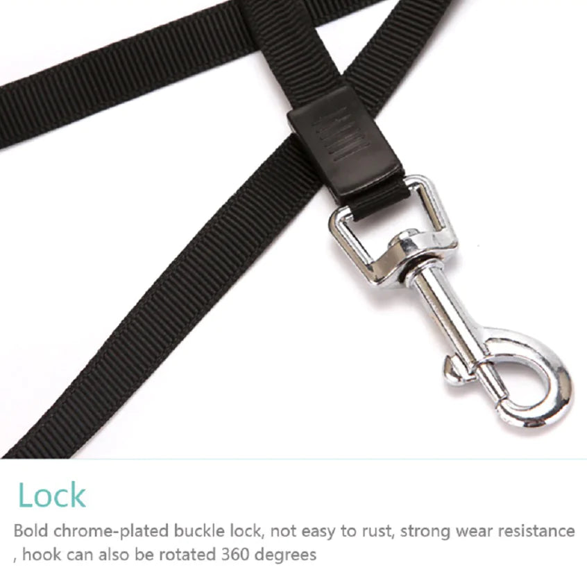 Retractable Dog Leash