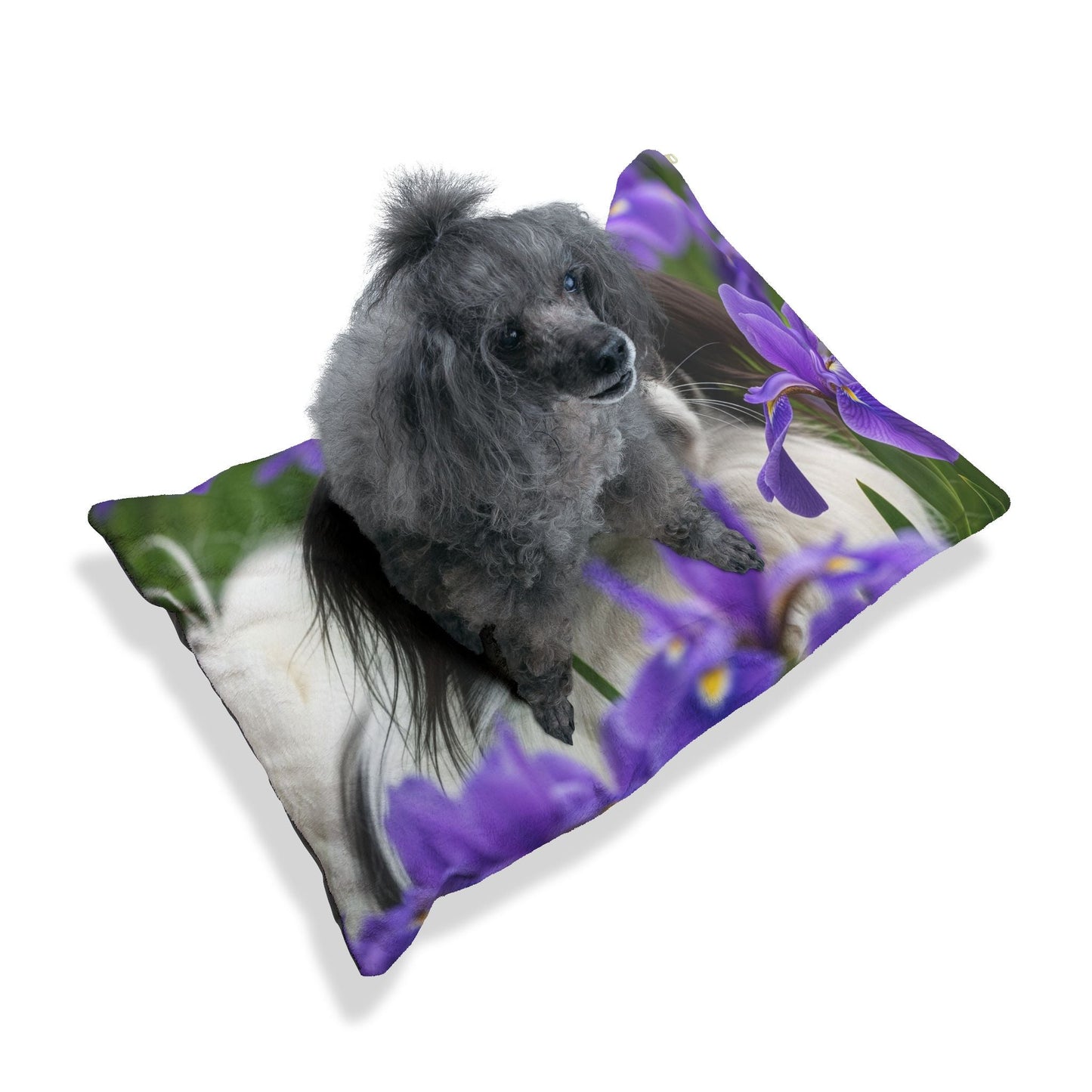 Plush Dog Bed