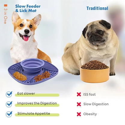 Pet  Bowl