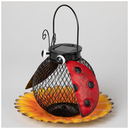 Hanging Bird Feeder