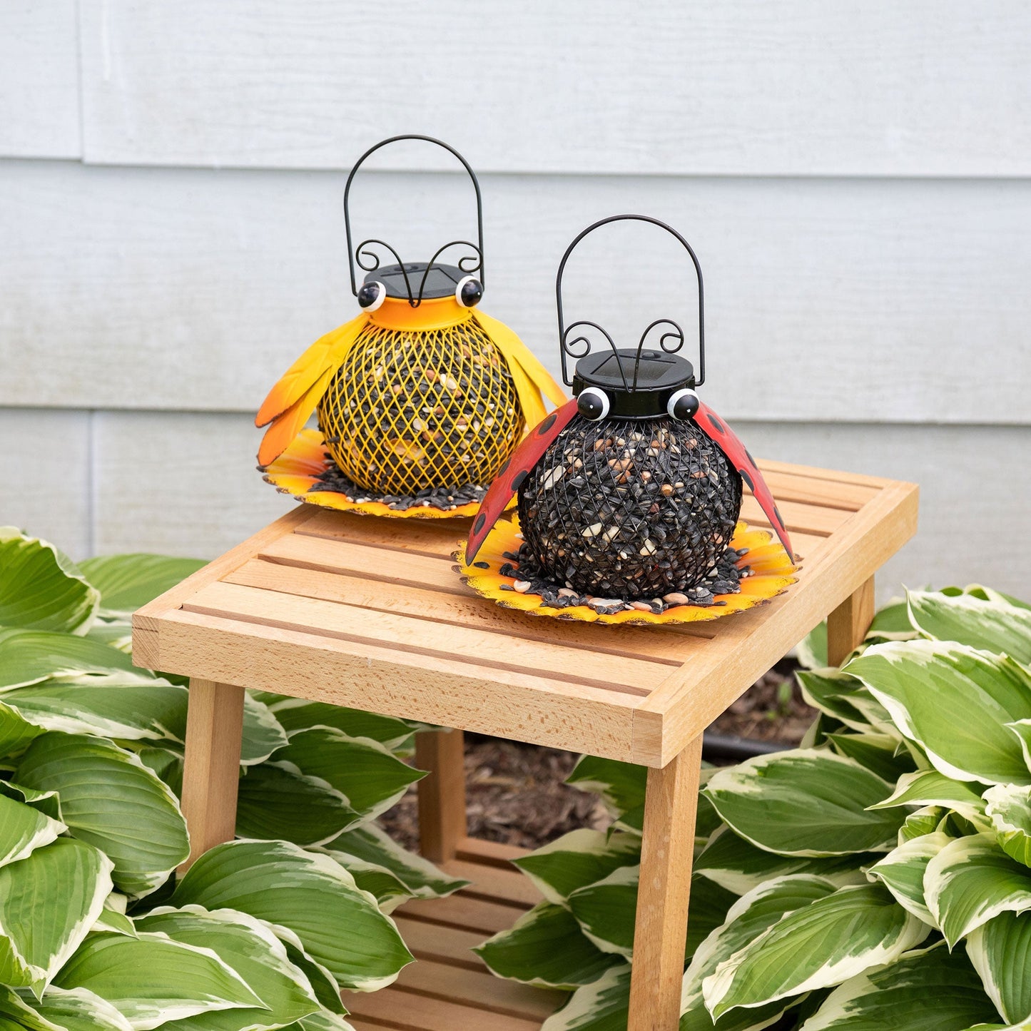 Hanging Bird Feeder