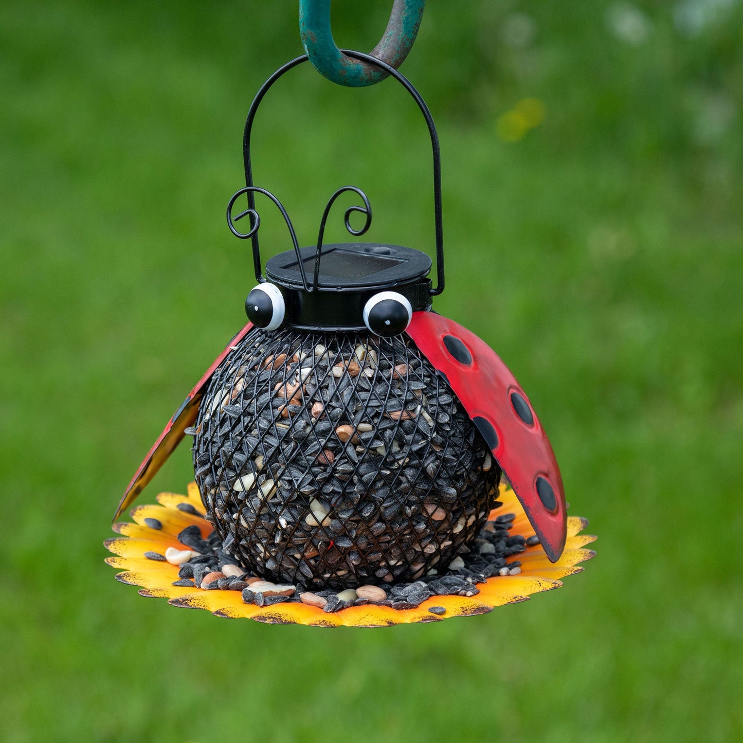 Hanging Bird Feeder