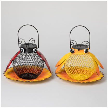Hanging Bird Feeder