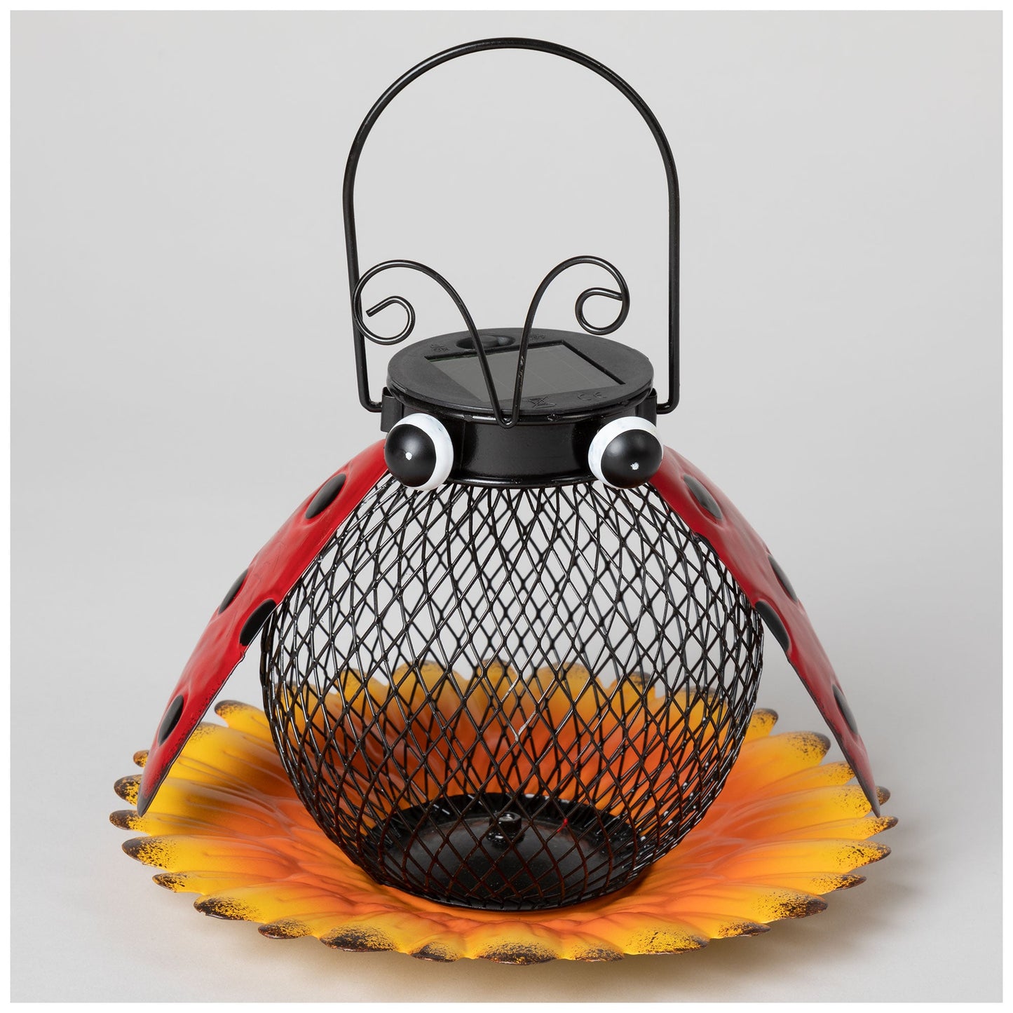 Hanging Bird Feeder
