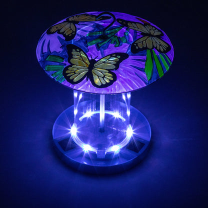 Solar Bird Feeder