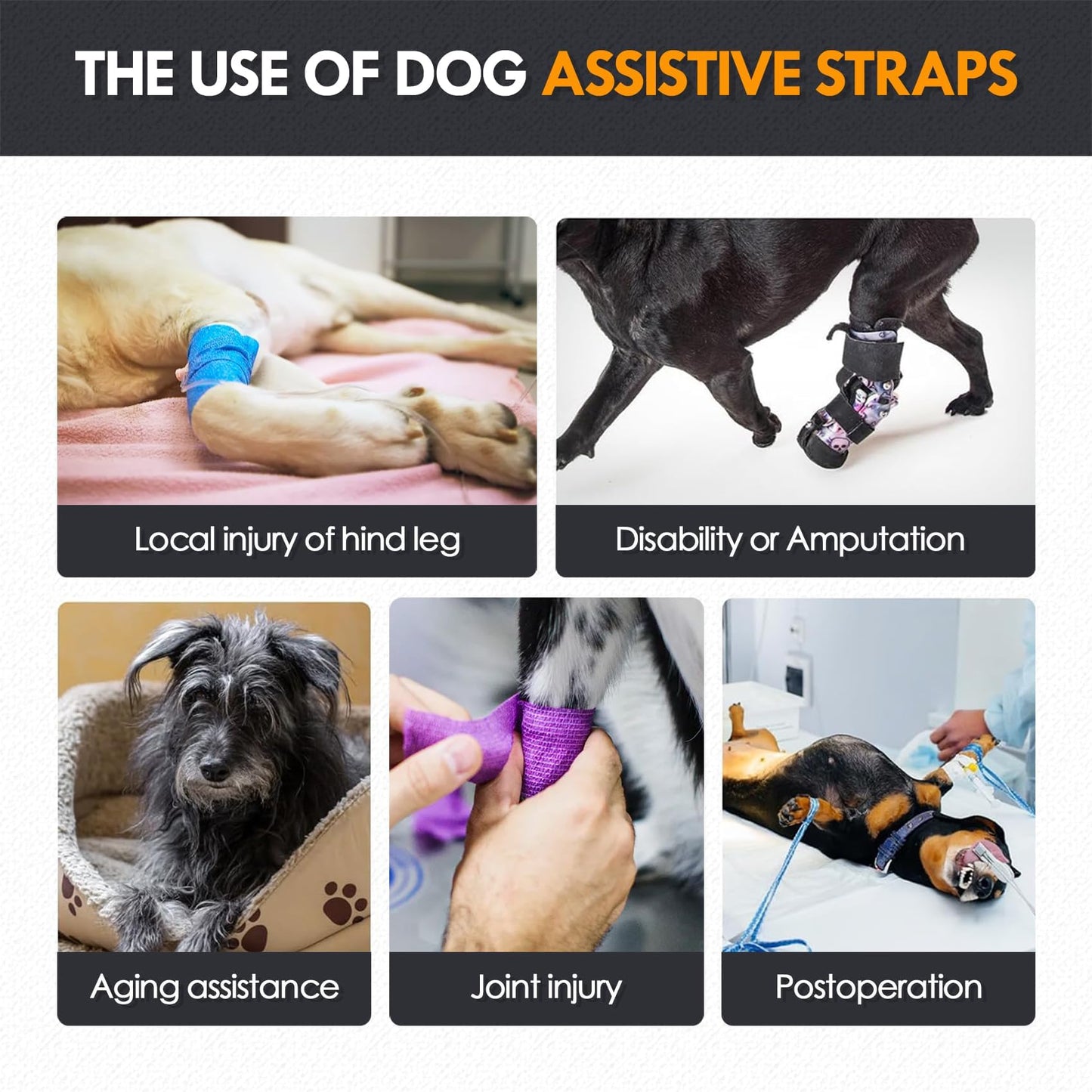 Adjustable Dog Lift Harness