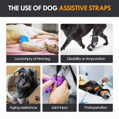 Adjustable Dog Lift Harness