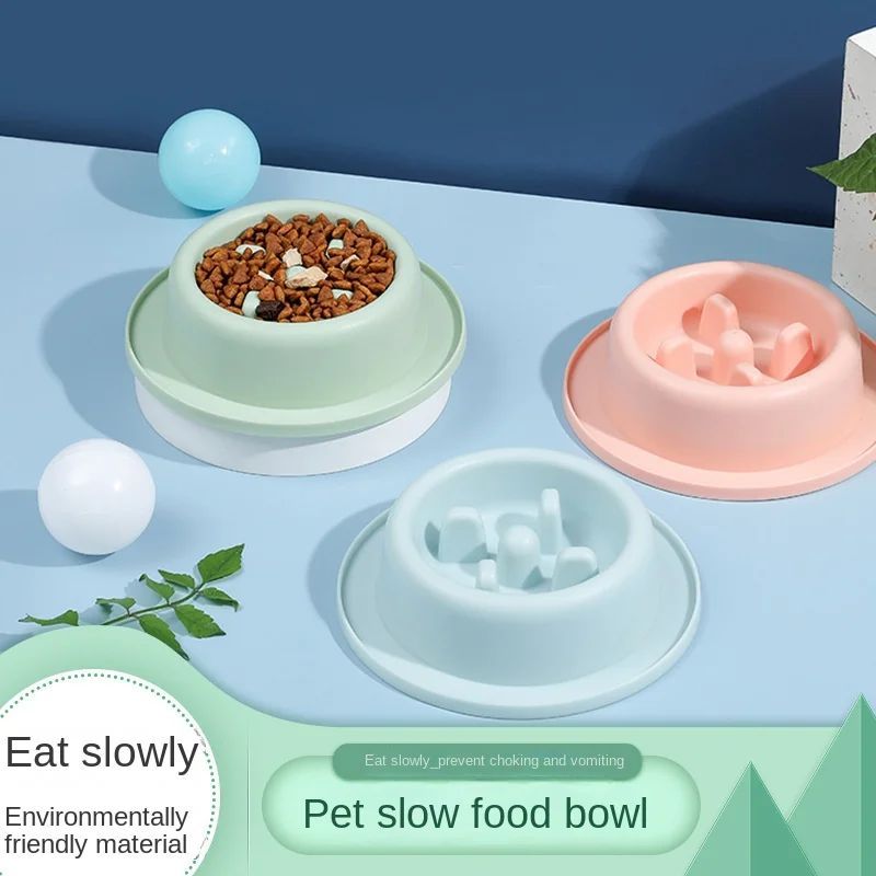 Slow Food Bowl