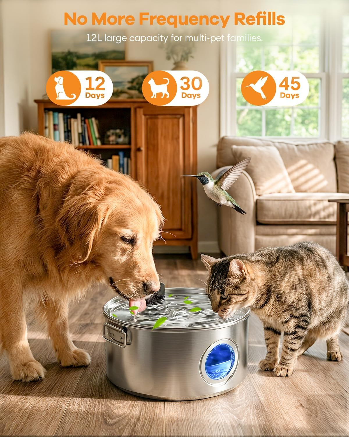 Wireless Water Fountain