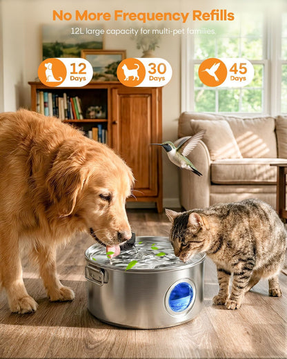 Wireless Water Fountain