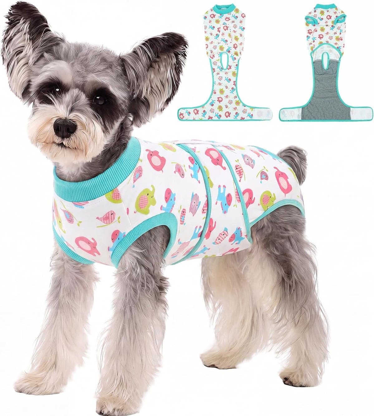 Female Dog Recovery Suit — Post-Spay & Surgery Coverage, Soft & Breathable (XS–2XL)