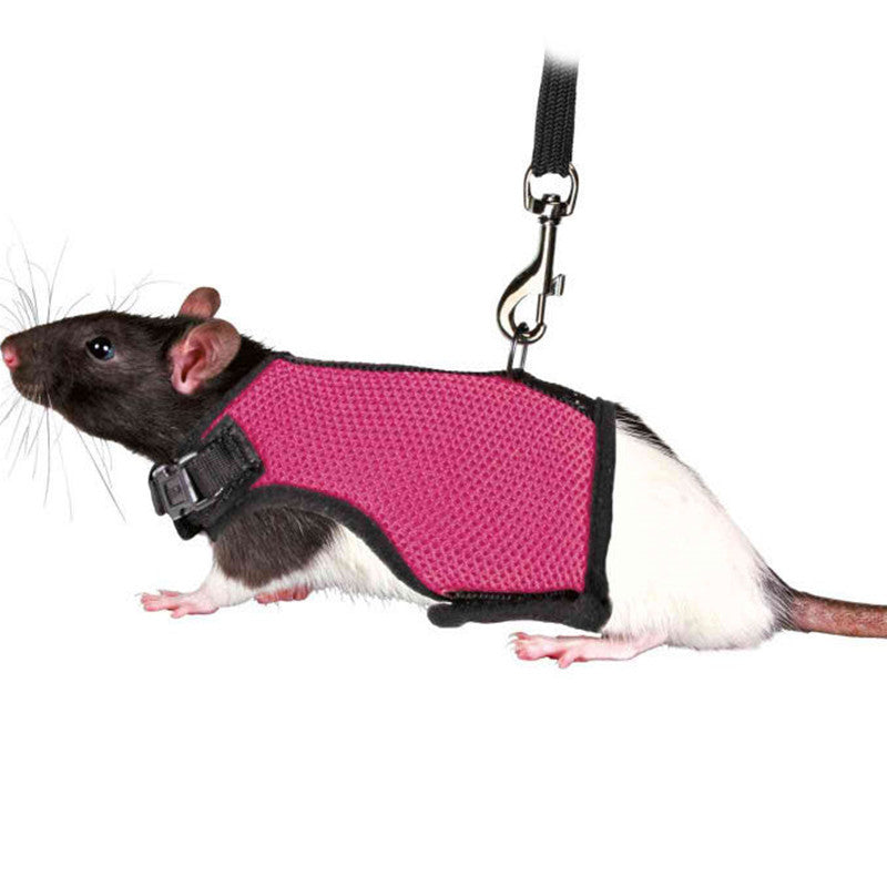 Bunny, Hamster Harness Leash