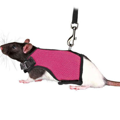 Bunny, Hamster Harness Leash