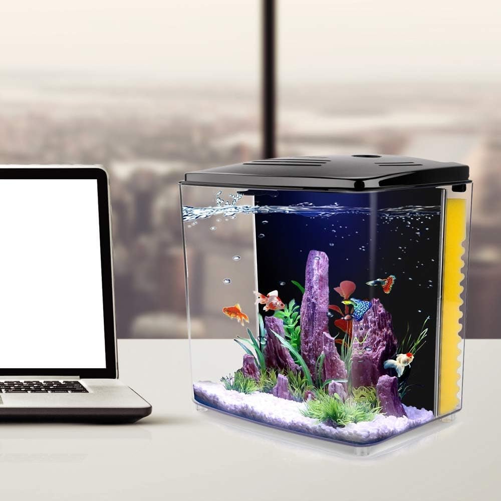 1.2 Gallon Betta Aquarium