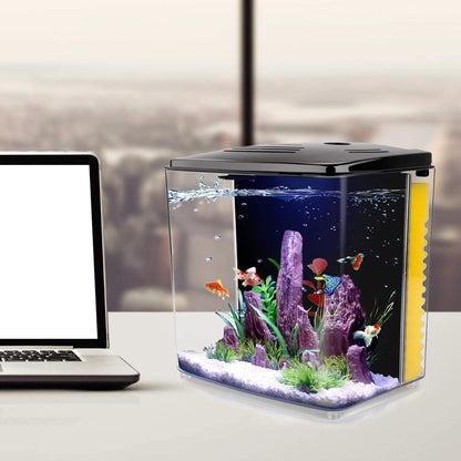 1.2 Gallon Betta Aquarium