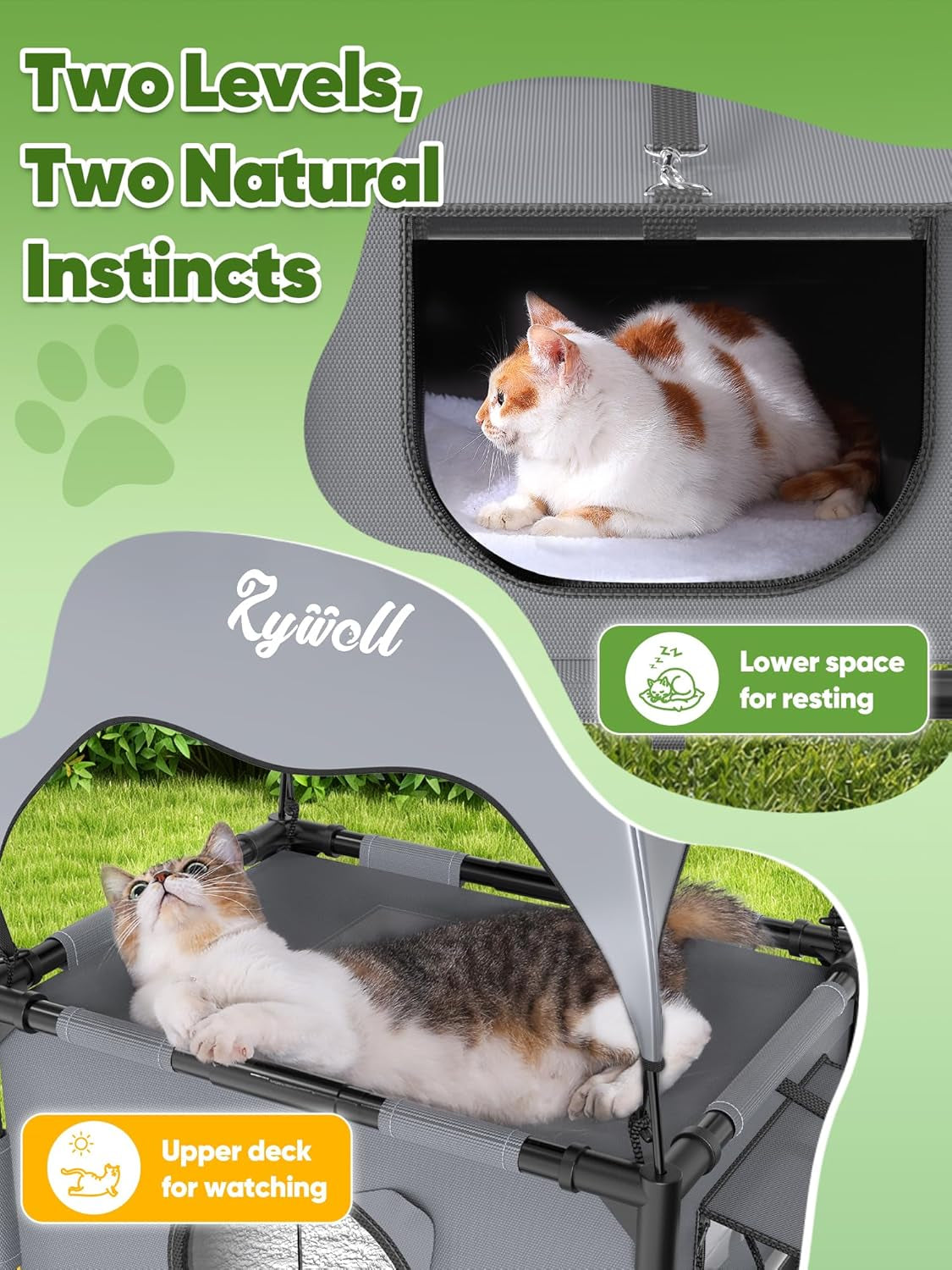 Outdoor Cat House