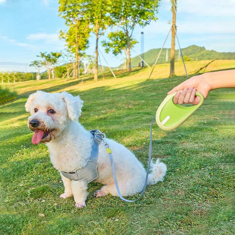 3m Pet Leash