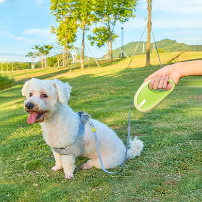 3m Pet Leash