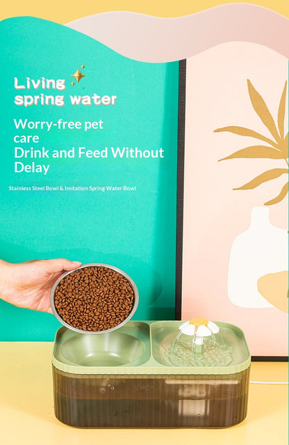 Automatic Water Dispenser