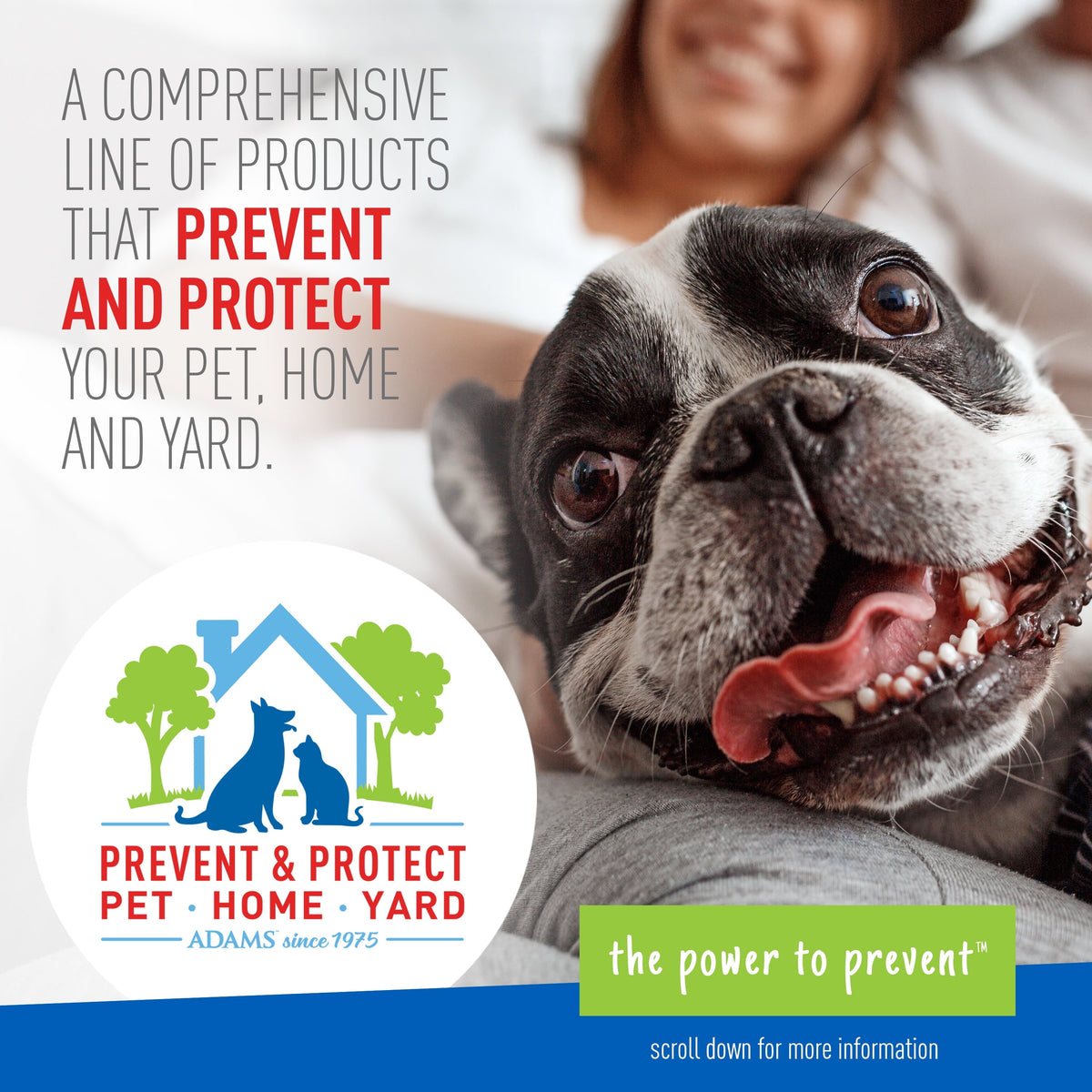 Flea & Tick Foaming Shampoo