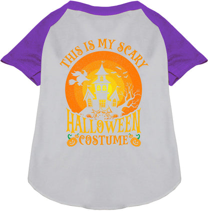 Scary Halloween Costume Pet Raglan Shirt