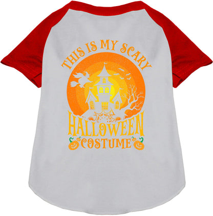 Scary Halloween Costume Pet Raglan Shirt