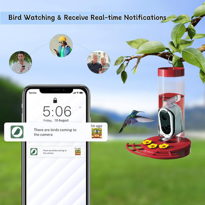 Hummingbird Feeder Camera