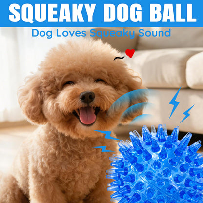 Squeaky Dog Balls