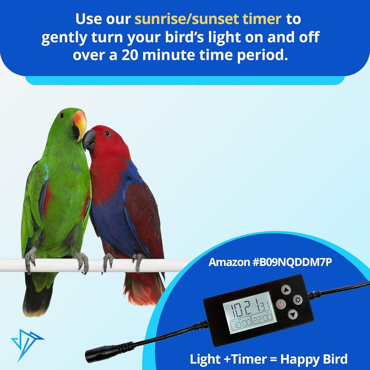 Bird Cage Light