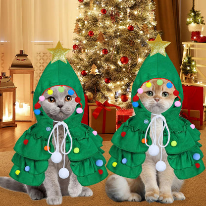 Cat Christmas Outfit