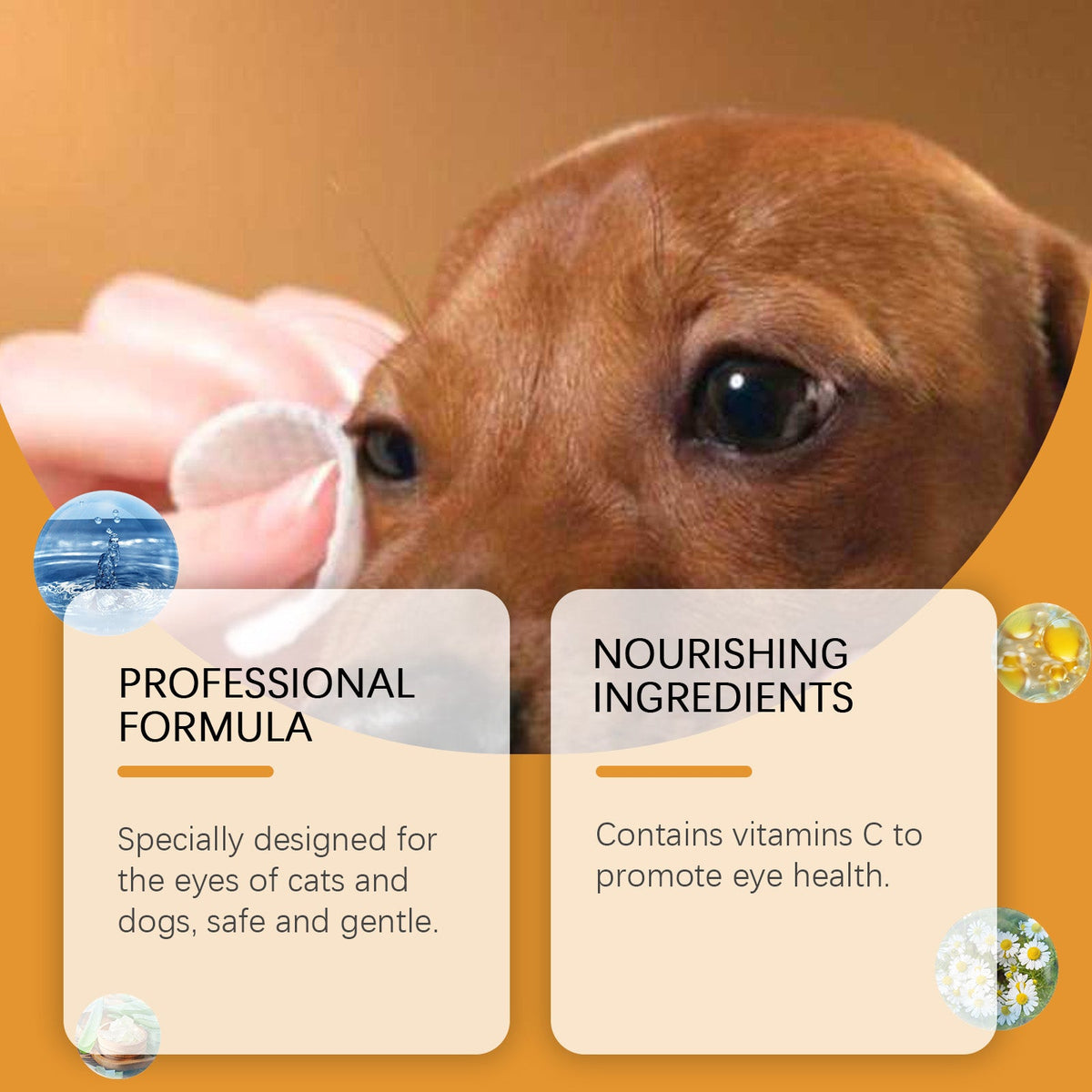 Eye Wipes for Cats and Dogs