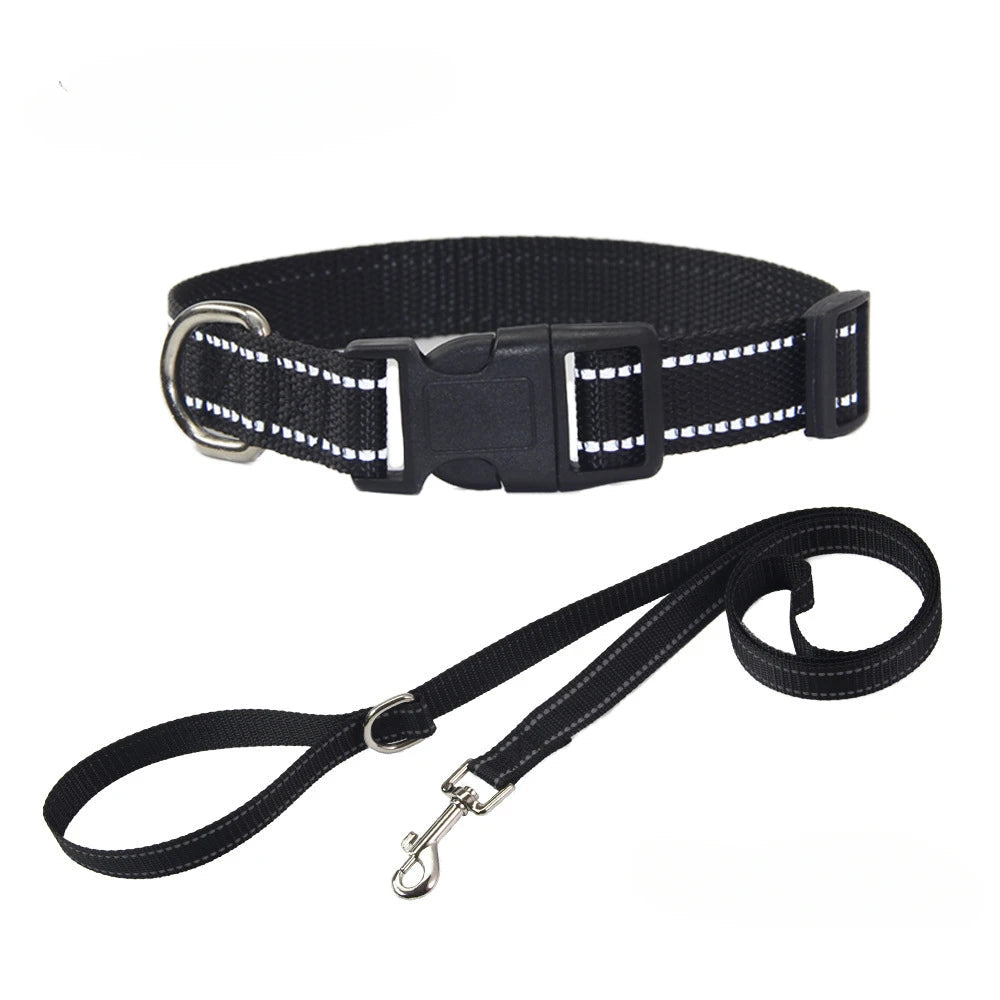 Nylon Dog Collar and Leash Set
