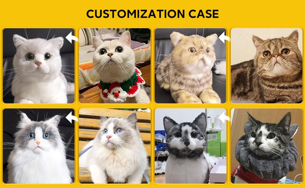 Custom Cat Plush