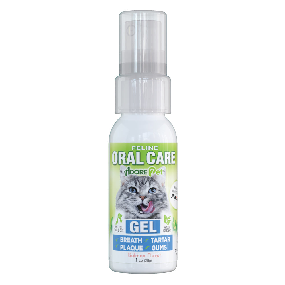 Oral Care for Pets
