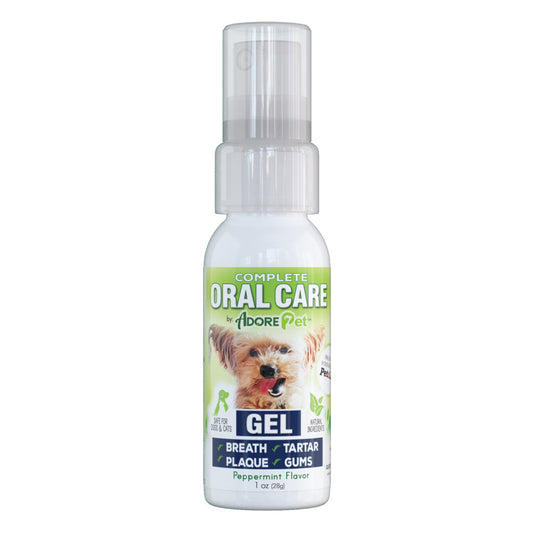 Oral Care for Pets