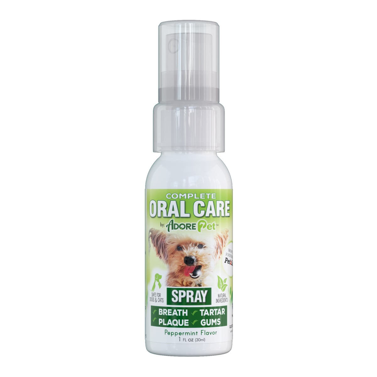 Oral Care for Pets