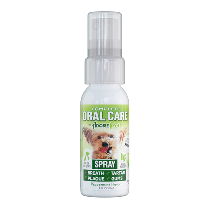 Oral Care for Pets