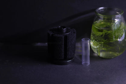Sponge Filter