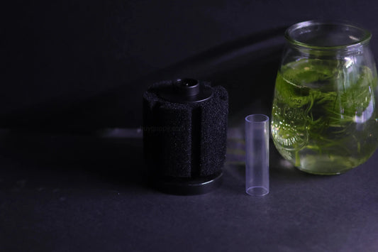 Sponge Filter