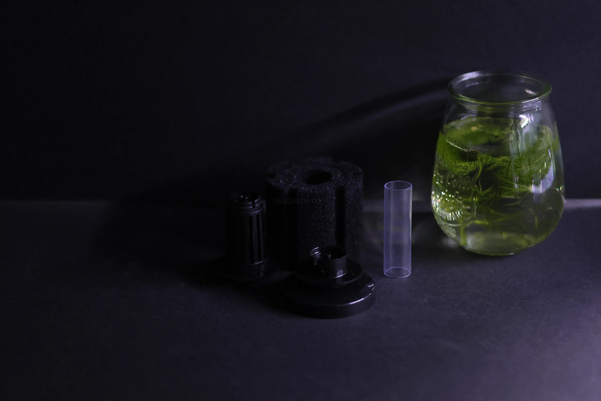 Sponge Filter