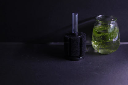 Sponge Filter