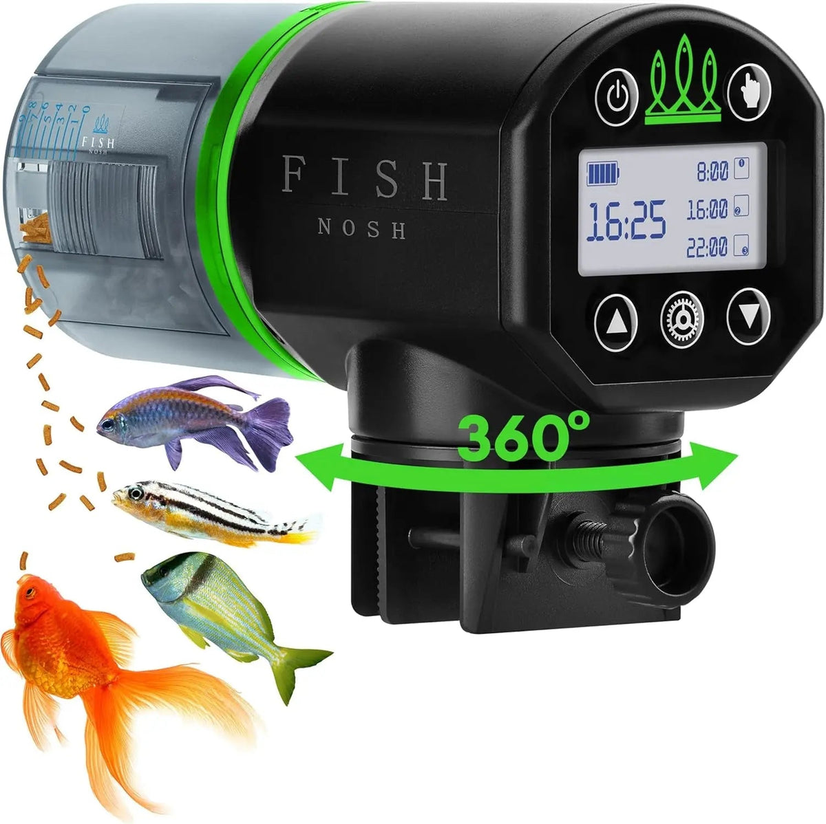 Automatic Fish Feeder