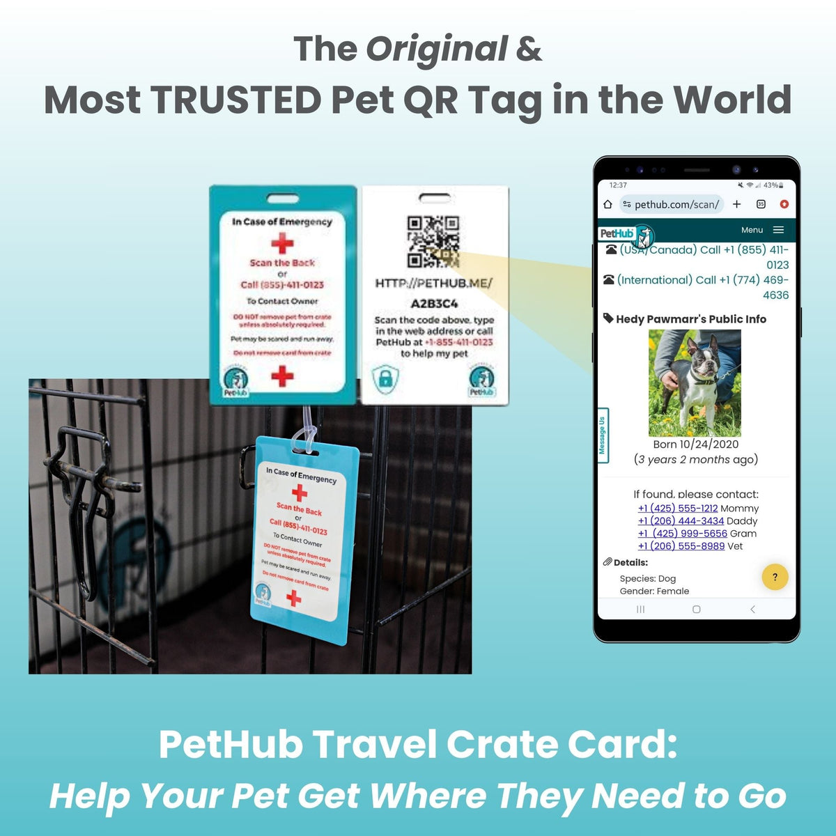 QR Pet Identification