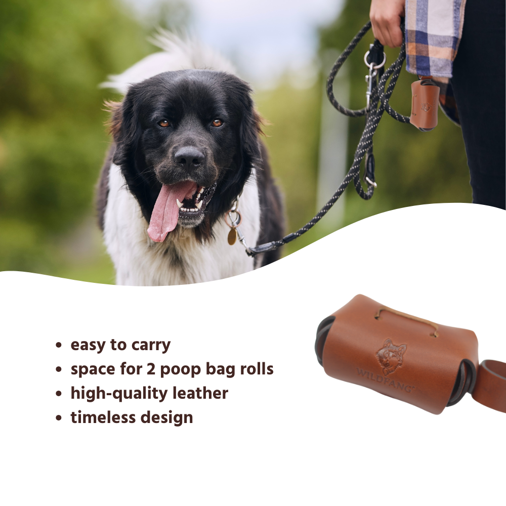 Dog Poop Bag Holder